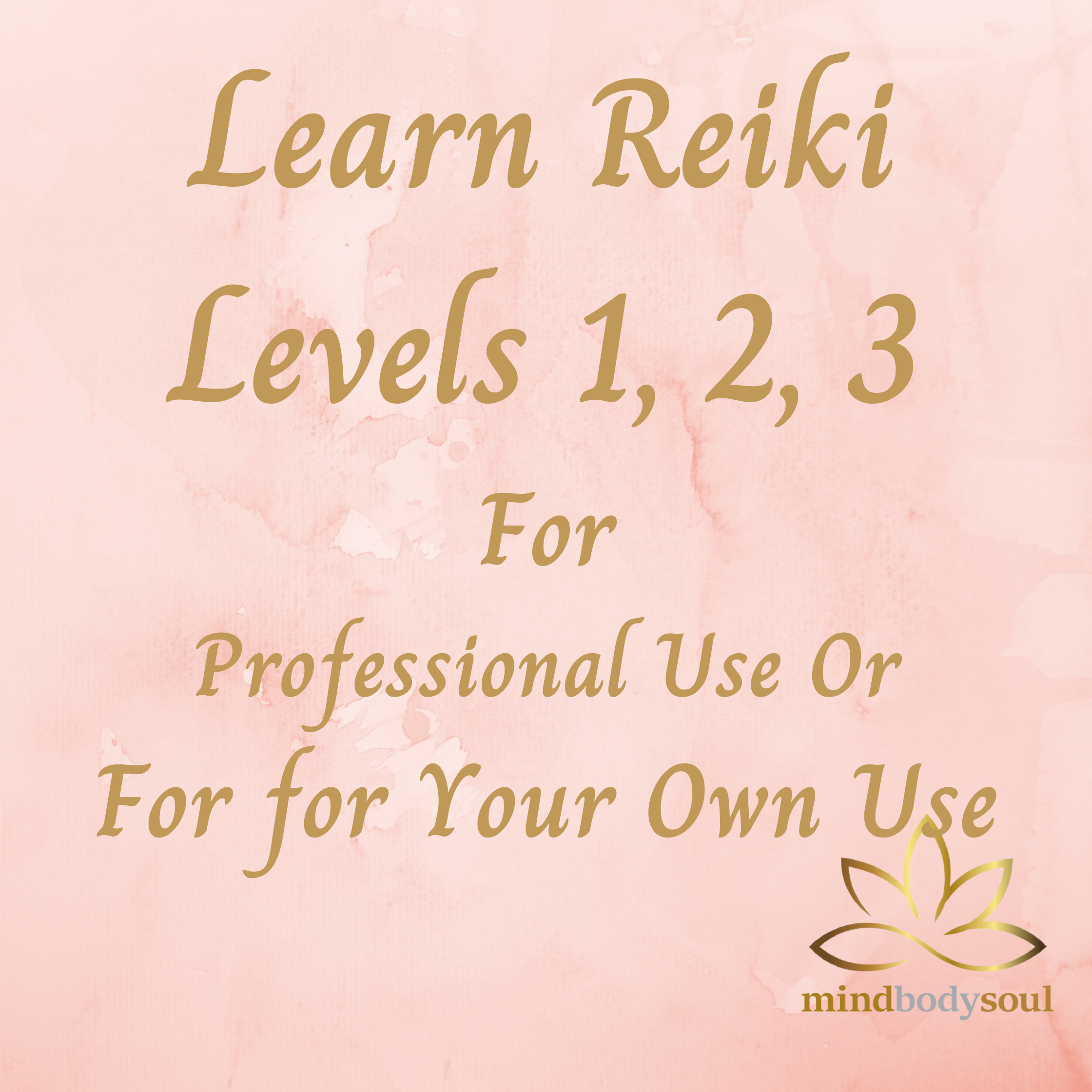 ビジネス・経済 Money Reiki Practitioner's Manual ビジネス・経済 Money Reiki Practitioner's Manual ビジネス